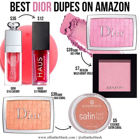 best dior dupes 2022.